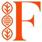 FEIRIE-Logo