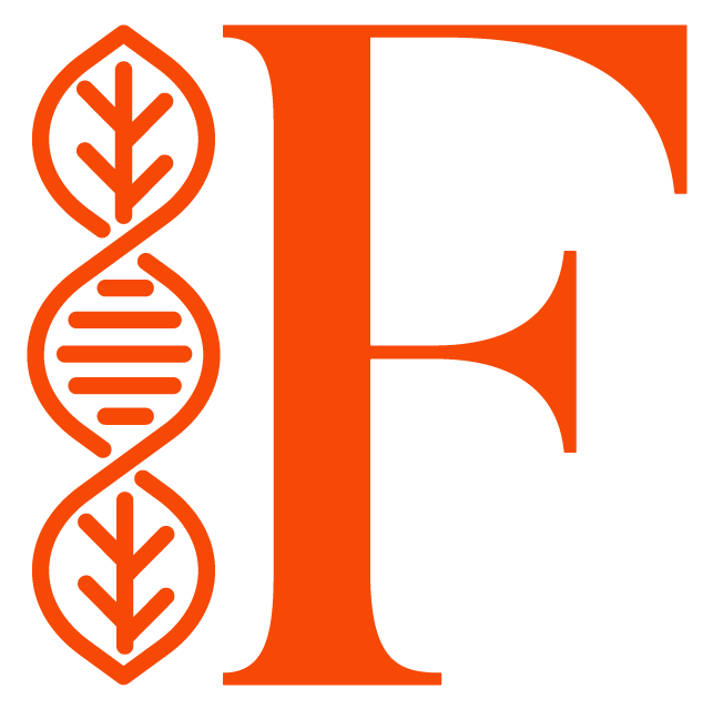 FEIRIE-Logo